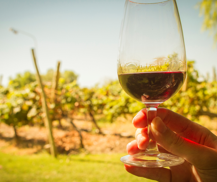 Rutas del Vino: Se hará una presentación oficial el 30 de mayo con música y degustación