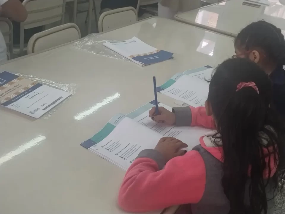 Siete de cada diez estudiantes jujeños de tercer grado comprenden textos complejos