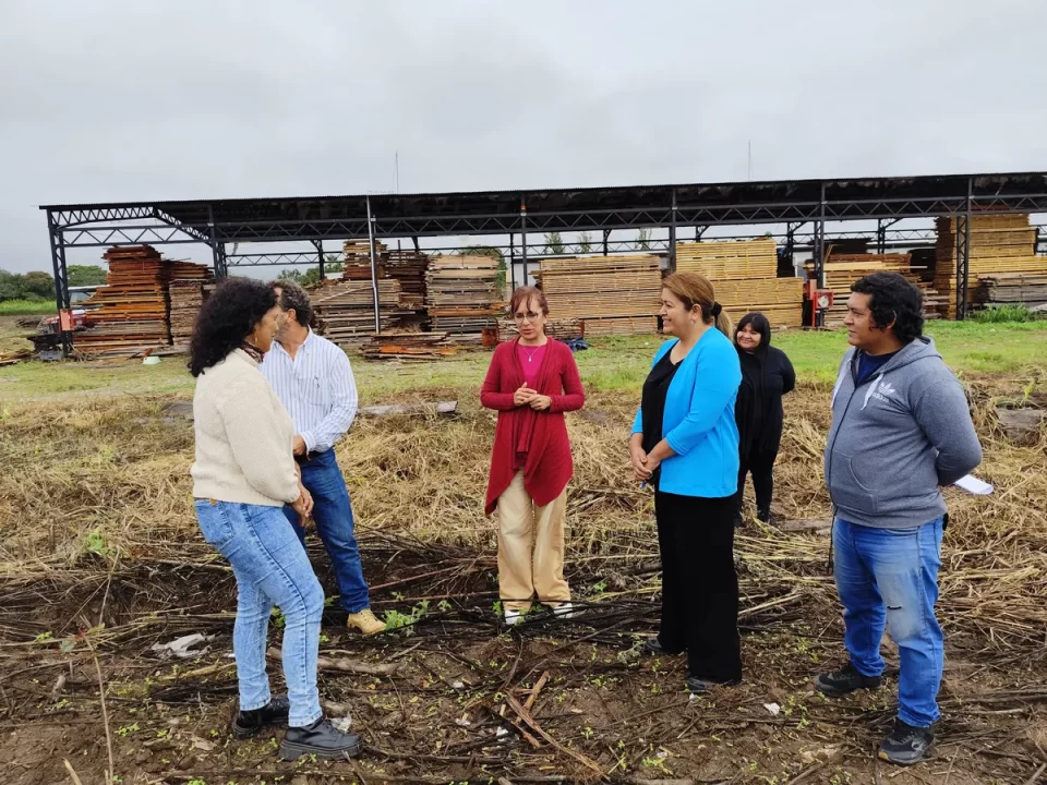 Jujuy:  El Gobierno impulsa un programa destinado a incrementar la superficie forestada