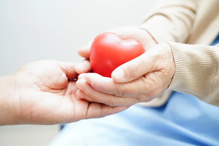 En lo que va del año se realizaron 29 los operativos de ablación en Jujuy