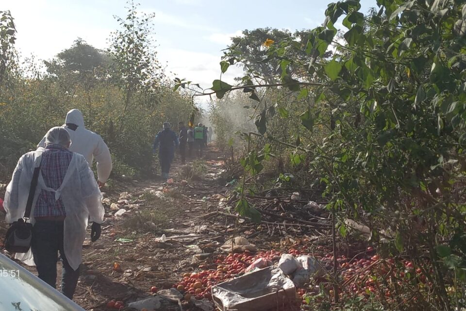 Fraile Pintado: En medio de la búsqueda de Tamara Fierro encuentran restos óseos calcinados