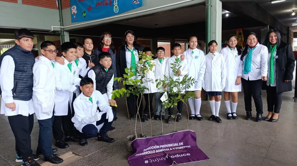 «Un árbol para Cada Jujeño»: se plantaron 6000 árboles en el último año