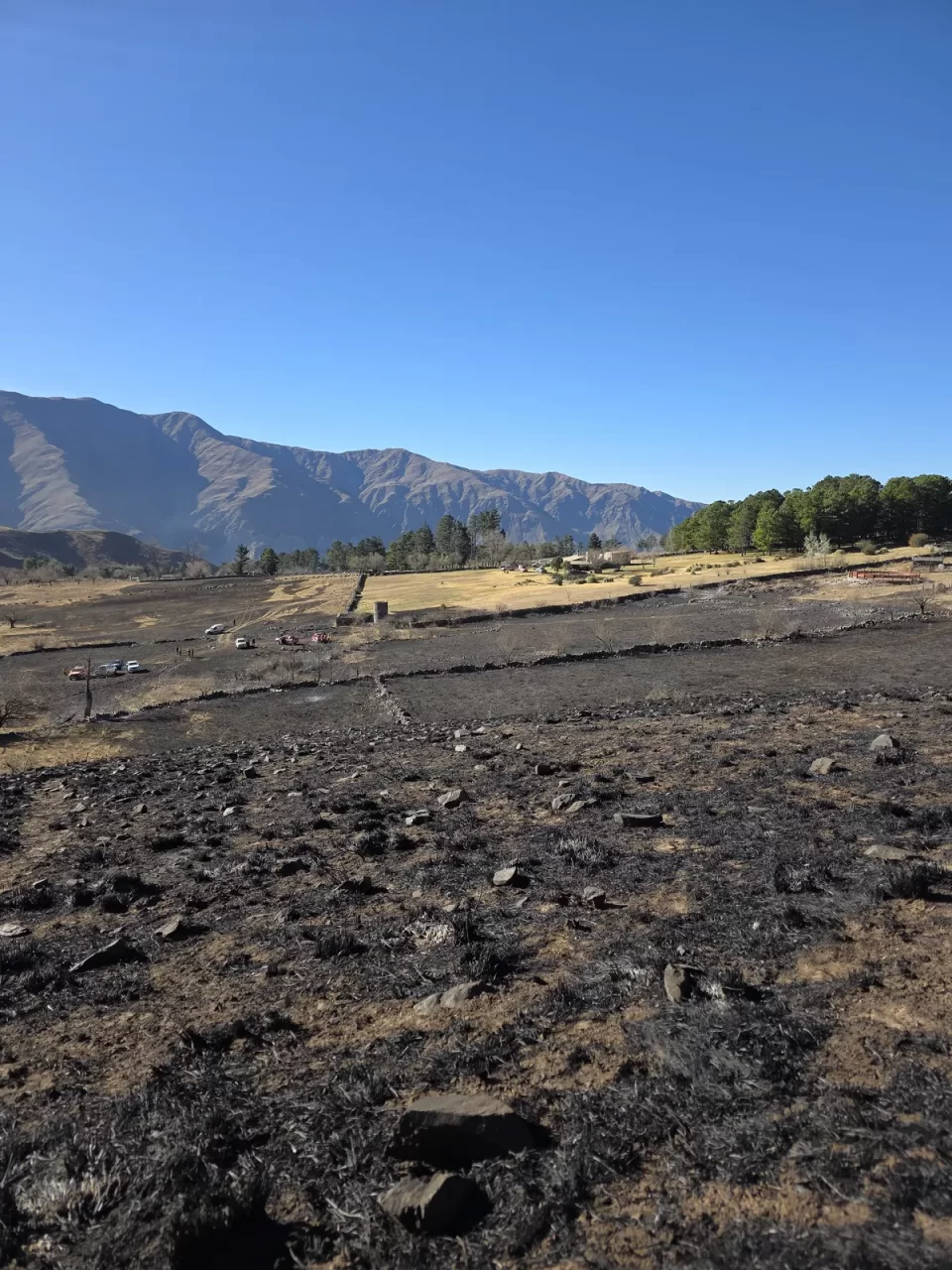 Brigadistas y bomberos controlaron un incendio forestal en Volcán