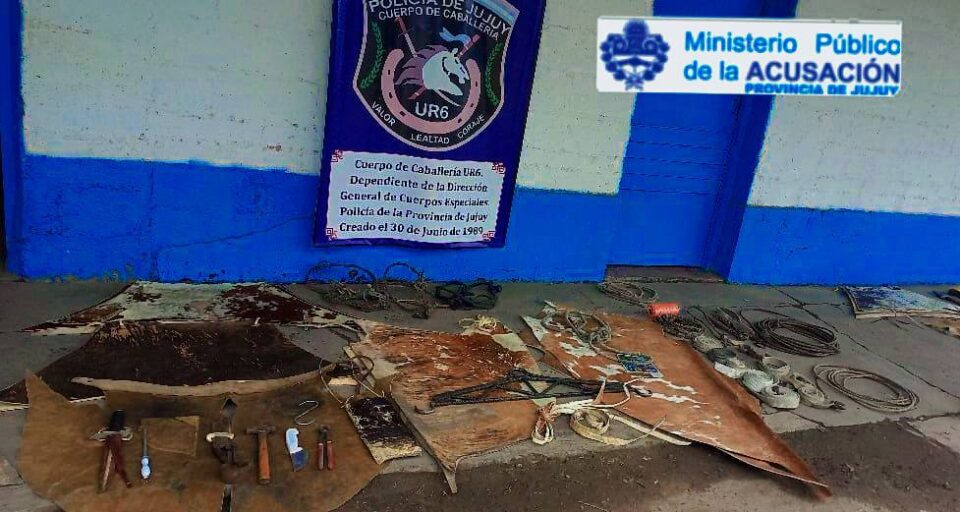 Abigeato en San Antonio: allanamientos, secuestros y dos detenidos