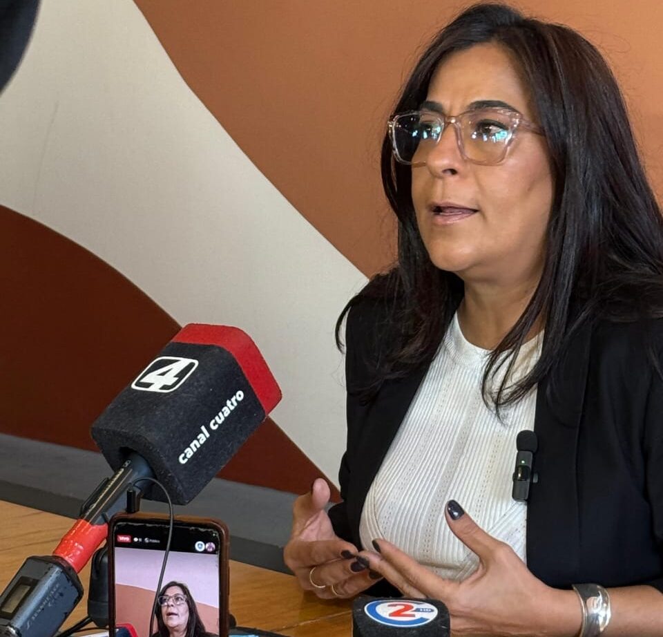 «Si se vetan las leyes de jubilados y personas con discapacidad, vamos a insistir desde el Senado»