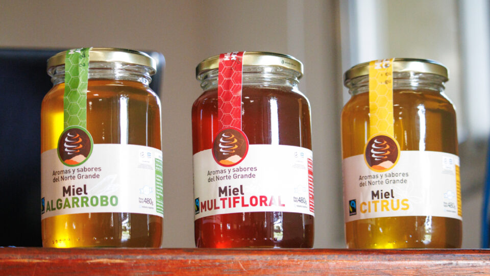 Hub Apícola en Famaillá: Miel orgánica y desarrollo sostenible en el Norte Grande