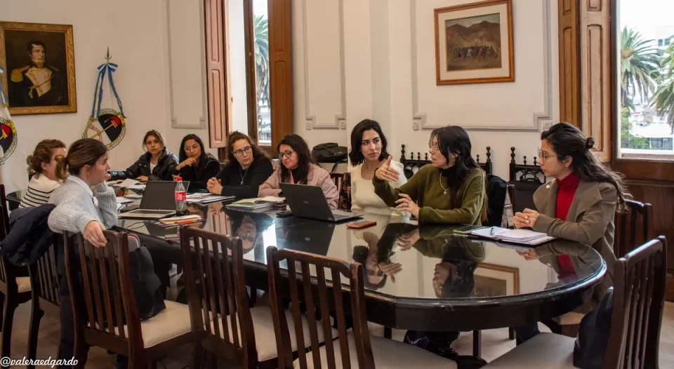 Jujuy: El Gobierno elabora acciones contra la violencia escolar y digital