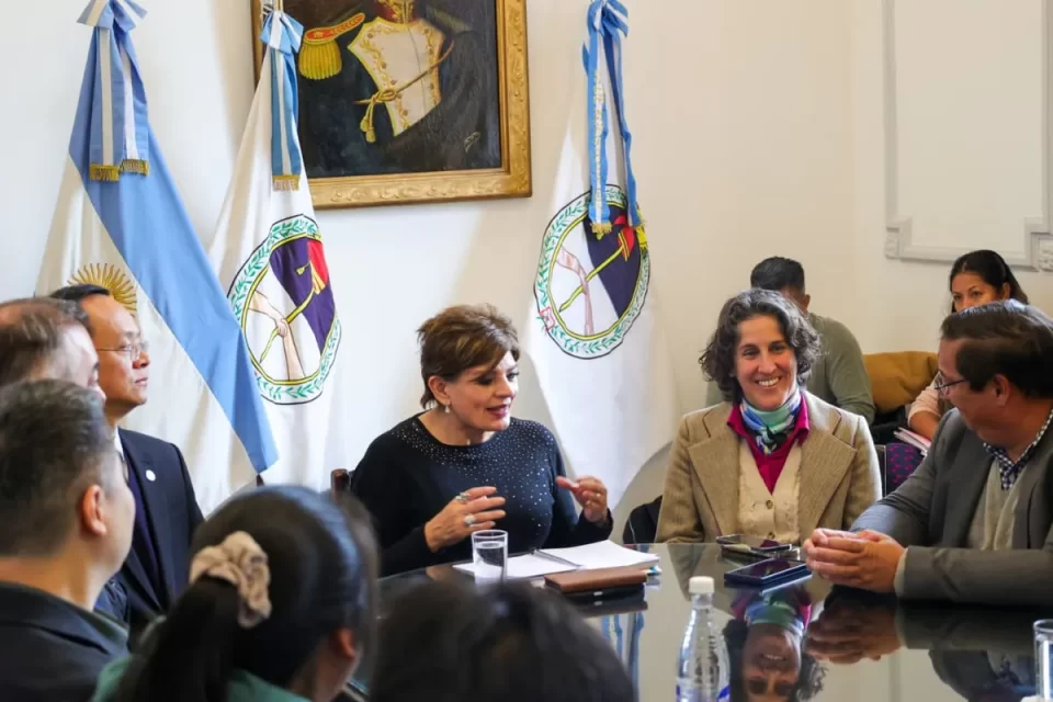 Ambiente fortalece alianzas para el desarrollo de proyectos de esquila sustentable de vicuñas