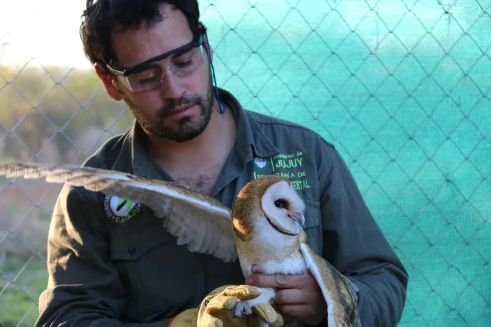 El CAFAJu celebra 10 años cuidando la fauna autóctona