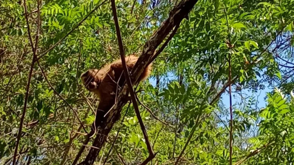 Jujuy avanza en la construcción de su Estrategia Provincial de Biodiversidad