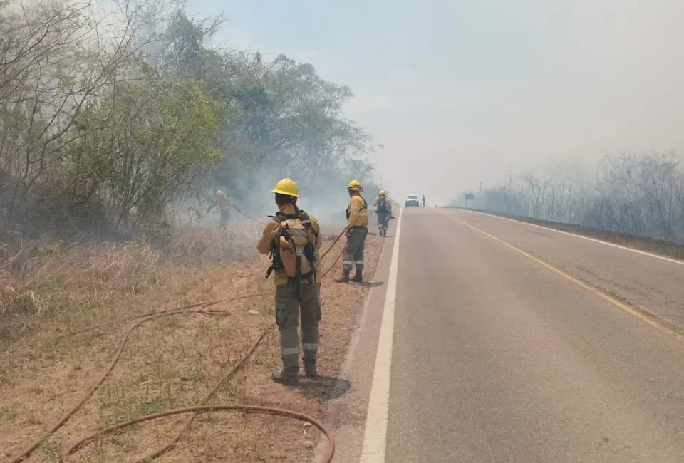 Combaten focos de incendios forestales en Ledesma y Santa Bárbara