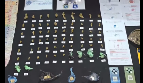 Megaoperativo policial desarticuló una red de narcomenudeo en Jujuy