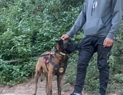 «Roco» ayudó en la búsqueda de un adolescente en barrio Campo Verde