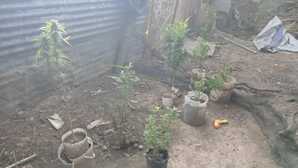 Policía y Fiscalía contra el narcomenudeo: nuevos operativos