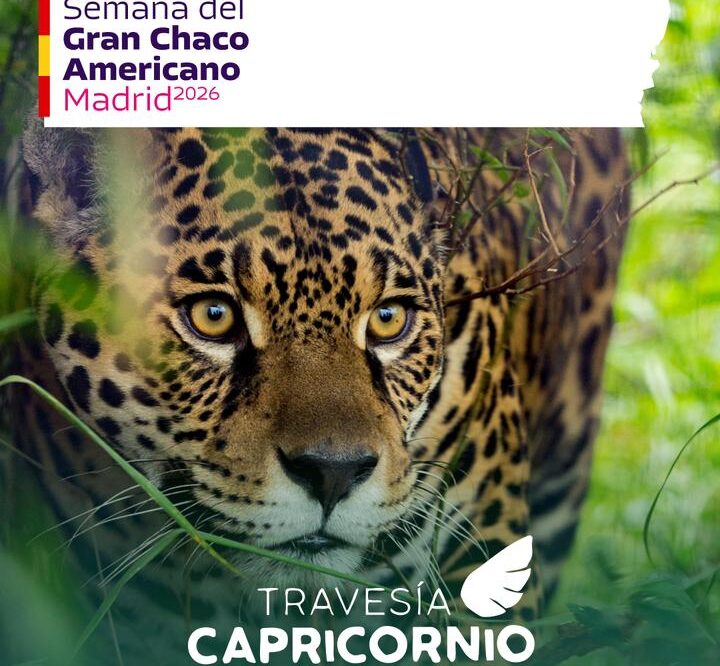 Semanas del Gran Chaco Americano 360: Inicia en Madrid la gira internacional