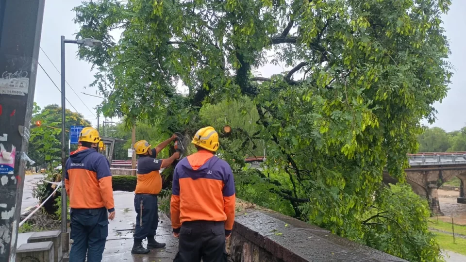 El Gobierno de Jujuy brindó respuesta inmediata ante las tormentas