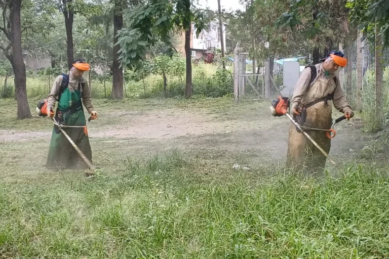 Implementan operativos conjuntos para prevenir casos de chikungunya
