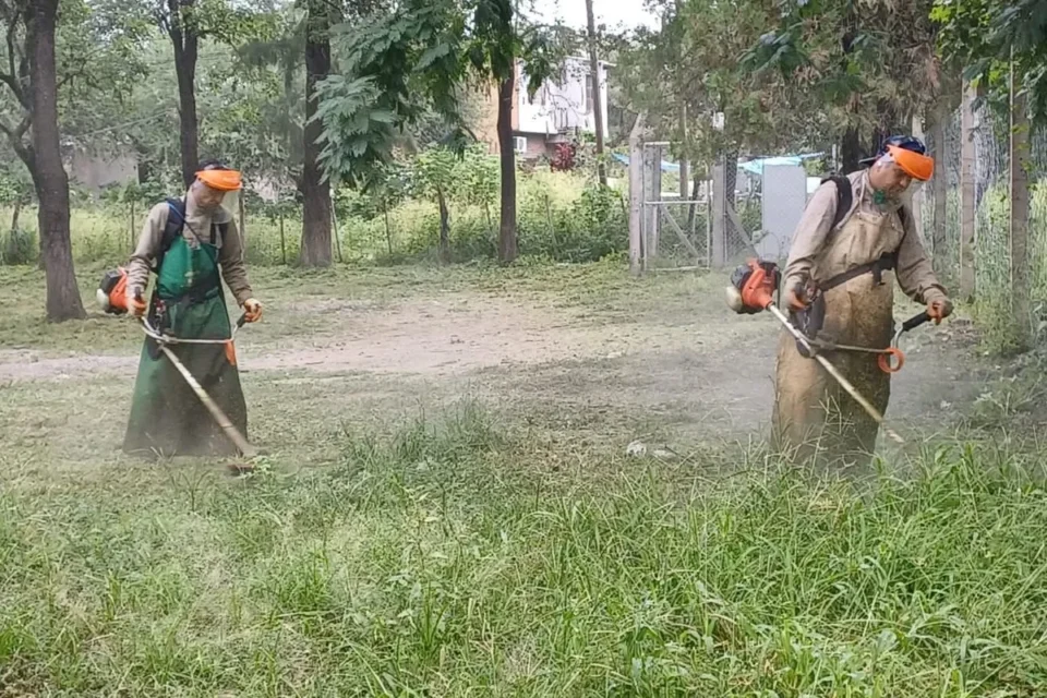 Implementan operativos conjuntos para prevenir casos de chikungunya