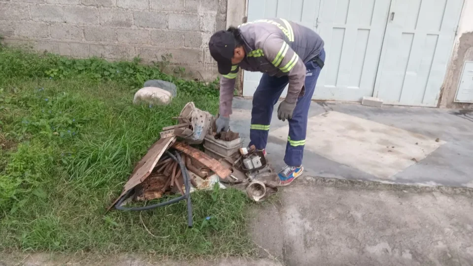 Jujuy sin casos de dengue y con monitoreo activo de chikungunya