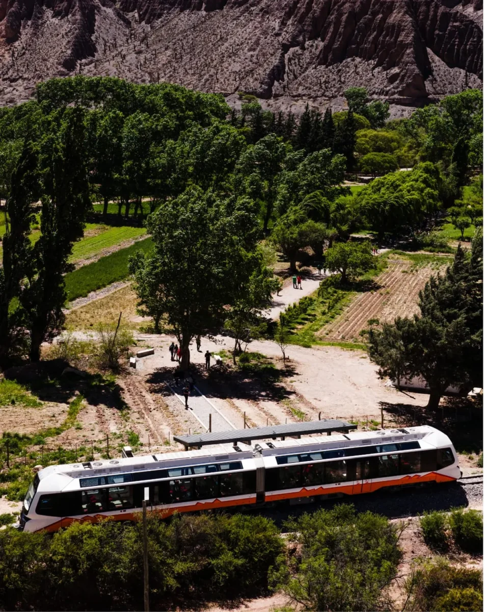 Tren del Vino: nace la nueva experiencia de enoturismo del Tren Solar
